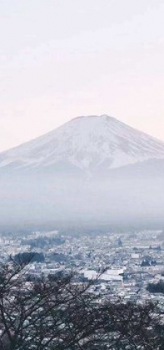 日方专家