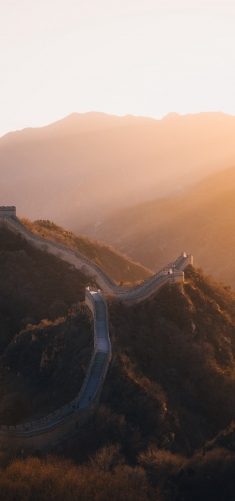中方专家