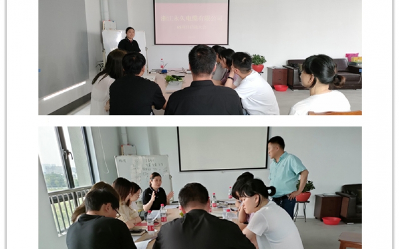 浙江永久电缆有限公司6S项目启动大会顺利召开(2021年06月09日)